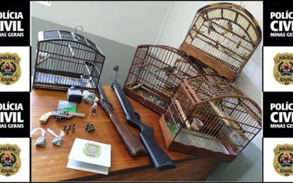Polícia Civil apreende armas e pássaros silvestres no município de Andrelândia