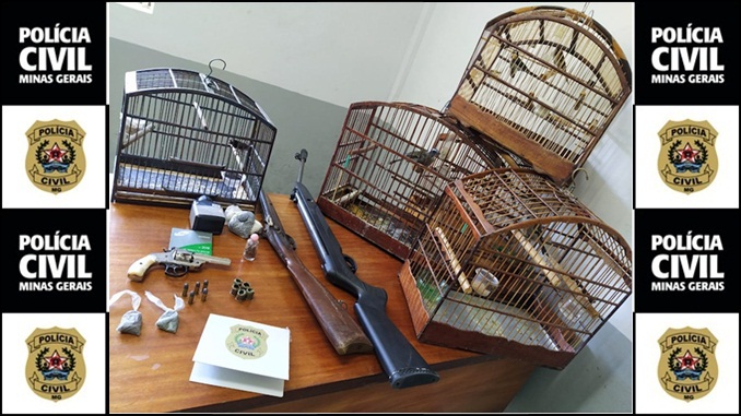 Polícia Civil apreende armas e pássaros silvestres no município de Andrelândia