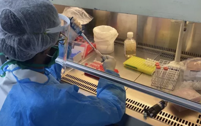 Pesquisadores da UFMG desenvolvem teste rápido que identifica variantes do coronavírus