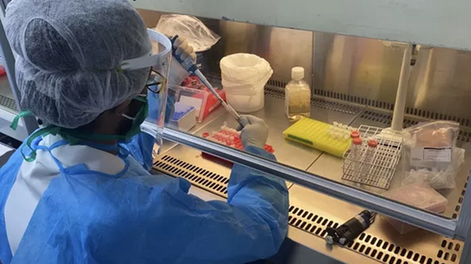 Pesquisadores da UFMG desenvolvem teste rápido que identifica variantes do coronavírus