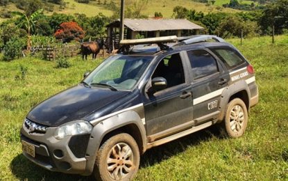 Polícia Civil recupera gado furtado em Entre Rios de Minas