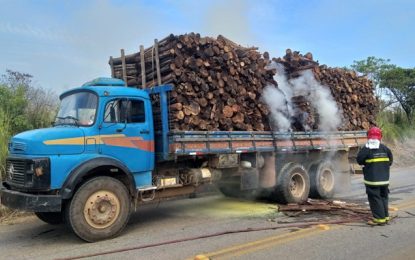 Bombeiros combatem incêndio em caminhão na MGC-383