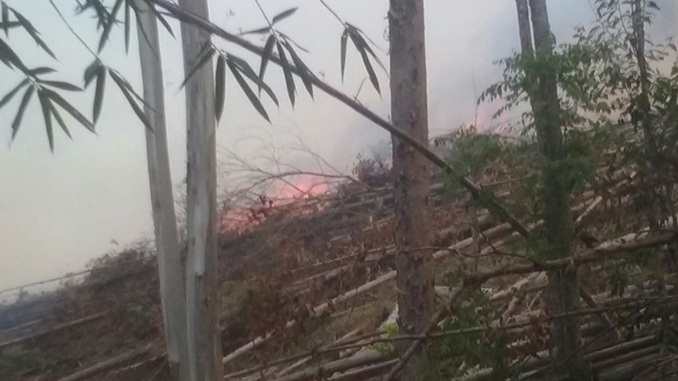 Polícia Militar de Meio Ambiente prende autores de incêndio florestal