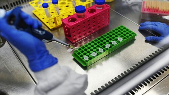 Covid-19: Anvisa aprova uso emergencial de coquetel de anticorpos para o tratamento