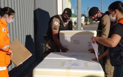 Estado distribui 12ª remessa de vacinas contra a covid-19