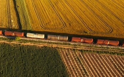 Investimentos em ferrovias auxiliam na exportação de grãos