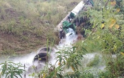 Carreta capota e deixa carga de oxigênio espalhada em Leopoldina; bombeiros atuam na remoção nesta segunda (19)