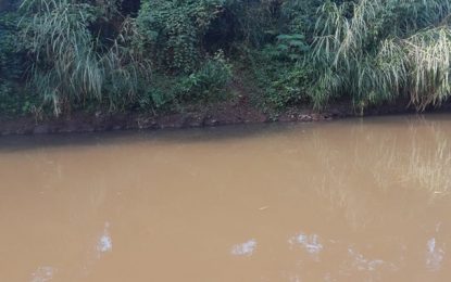 Corpo é encontrado no Rio Maranhão, em Congonhas