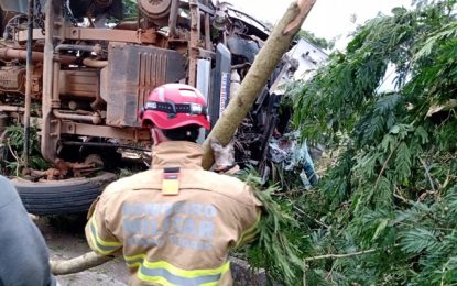 Caminhoneiro morre em acidente na MG-448 próximo a Santa Bárbara do Tugúrio
