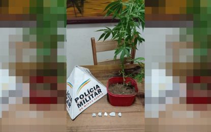 Três pessoas foram presas por tráfico de drogas, em Pinheiro Grosso