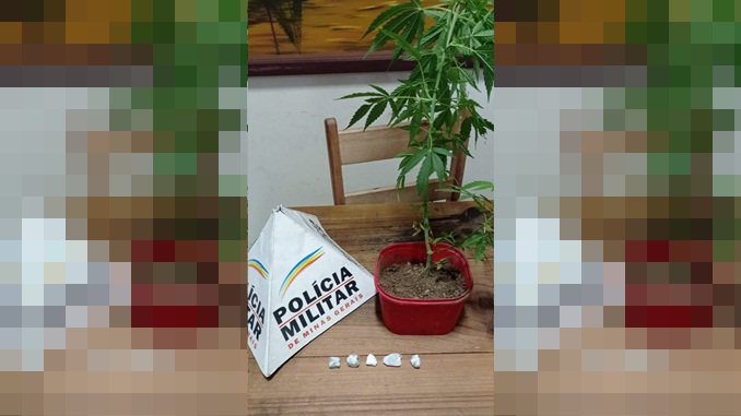 Três pessoas foram presas por tráfico de drogas, em Pinheiro Grosso