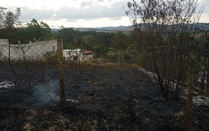 Queima em quintal atinge sitio de vizinho, em Campolide