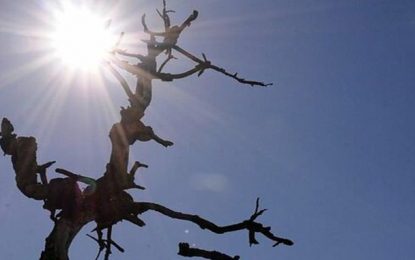 Defesa Civil Nacional reconheceu a situação de emergência em cinco municípios do País