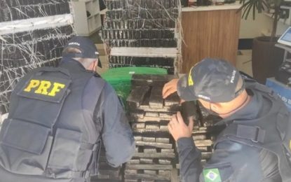 805 quilos de maconha são apreendidos em caminhonete na BR-267, no Sul de MG