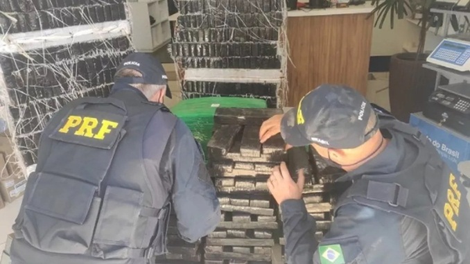 805 quilos de maconha são apreendidos em caminhonete na BR-267, no Sul de MG