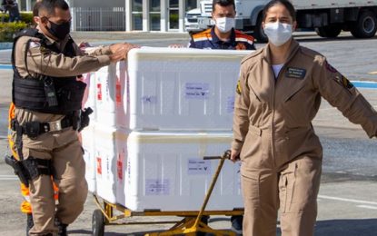 Minas Gerais distribui vacinas e amplia imunização para gestantes, puérperas e pessoas com comorbidade