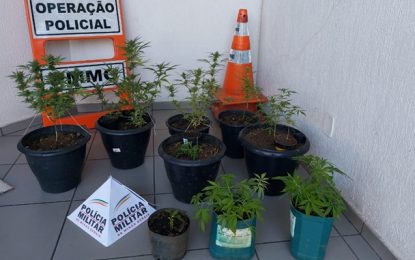 Ocorrências de destaque em Barroso, São João Del-Rei e Santa Cruz de Minas