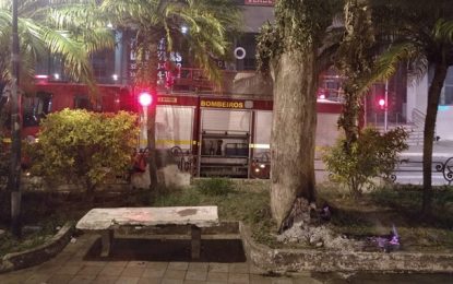 Bombeiros são acionados para apagar incêndio em tronco de árvore na Praça do Globo, em Barbacena