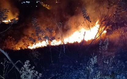 Incêndio atinge vegetação no Bairro Diniz