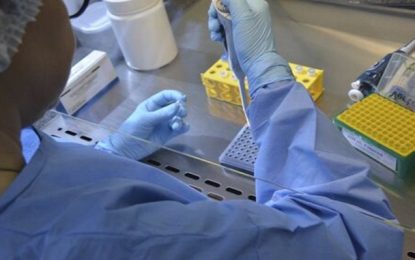 Vacinas contra a Covid-19 serão produzidas pela indústria veterinária