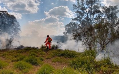 Bombeiros combatem incêndio que ameaçava SAMU, FHEMIG  e Rodovia