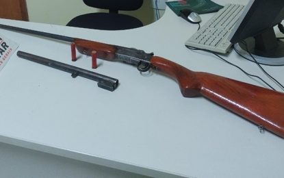 Apreensão de arma de fogo, em Ibertioga