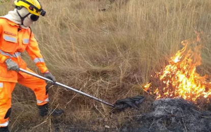 Incêndio destrói mais de 130 mil metros quadrados de vegetação em Poços de Caldas