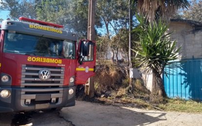 Incêndio em vegetação ameaça fábrica de laticínios, em Barbacena