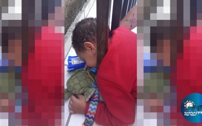 Bombeiros Militares resgatam criança presa em grade de portão