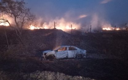 Veículo pega fogo e atinge vegetação as margens da rodovia