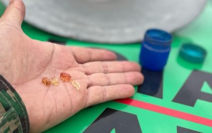 Polícia Militar de Meio Ambiente realiza operação de combate ao garimpo ilegal