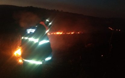 Incêndio atinge sítio as margens da BR-265