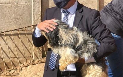 Polícia Civil indicia duas mulheres por maus tratos contra animais em Santos Dumont