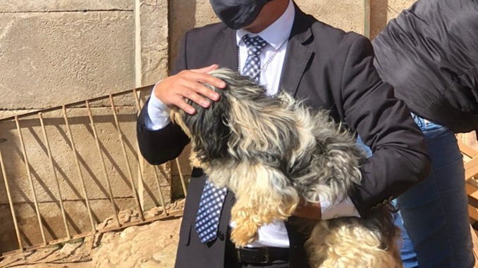 Polícia Civil indicia duas mulheres por maus tratos contra animais em Santos Dumont