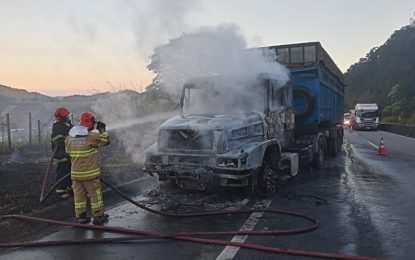Incêndio atinge cabine de carreta e vegetação às margens de Rodovia