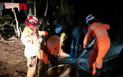 Bombeiros resgatam cavalo de fossa séptica