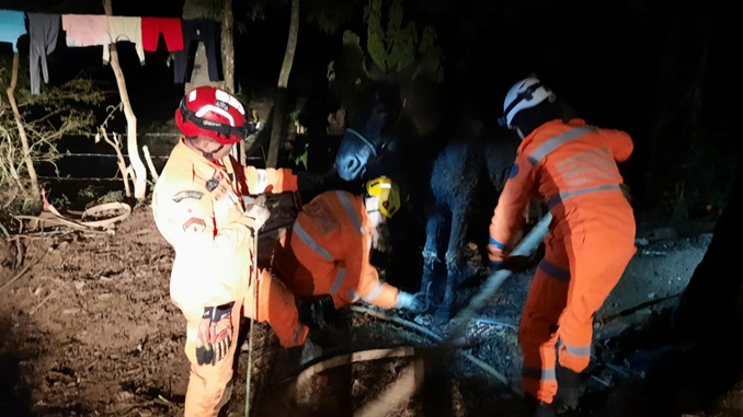 Bombeiros resgatam cavalo de fossa séptica
