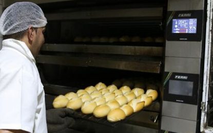 Publicada MP que disponibiliza crédito a produtores rurais e microempreendedores