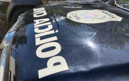 Polícia Civil apura denúncia de cães mortos a pauladas em Santos Dumont