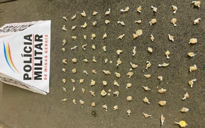 Ocorrências de destaque em Bom Jardim de Minas, São João del-Rei e Nazareno