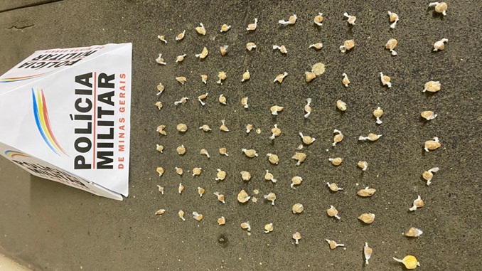 Ocorrências de destaque em Bom Jardim de Minas, São João del-Rei e Nazareno