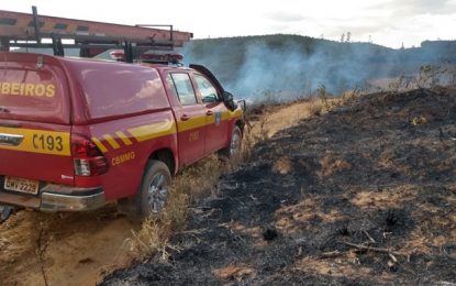 Bombeiros combatem incêndios em vegetação