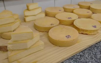 ATeG abre 50 vagas para assistência técnica a produtores rurais em Uberlândia