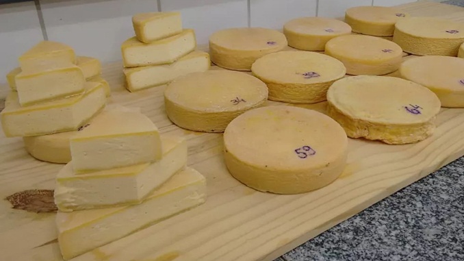 ATeG abre 50 vagas para assistência técnica a produtores rurais em Uberlândia