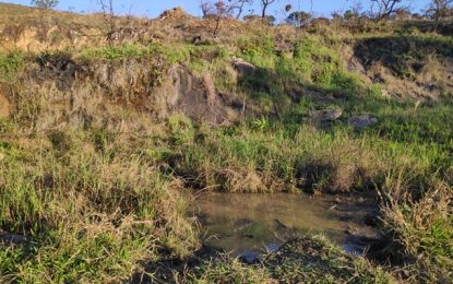 Homem é detido após atear fogo em área de vegetação em Barbacena