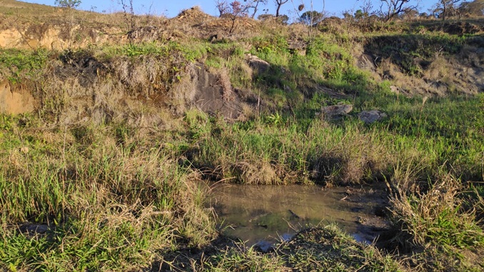 Homem é detido após atear fogo em área de vegetação em Barbacena