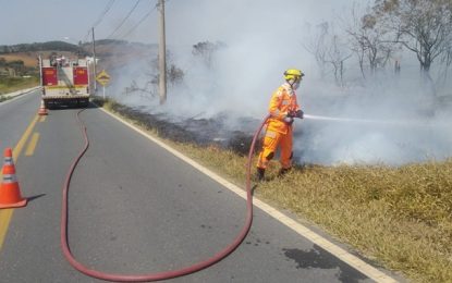 Bombeiros combatem incêndio em vegetação próximo à BR-265