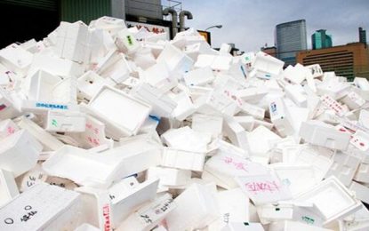 Proibição do uso do isopor pode impactar na criação de novos empregos