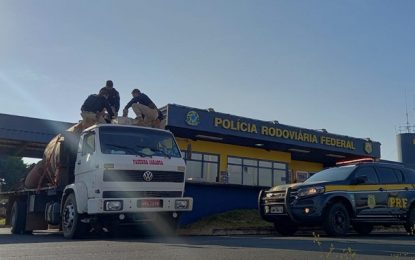 PRF apreende mais de cinco toneladas de droga em Frutal, no Triângulo Mineiro