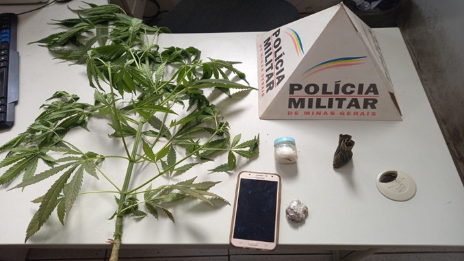 Homem é preso por cultivar maconha em Santa Rita do Ibitipoca